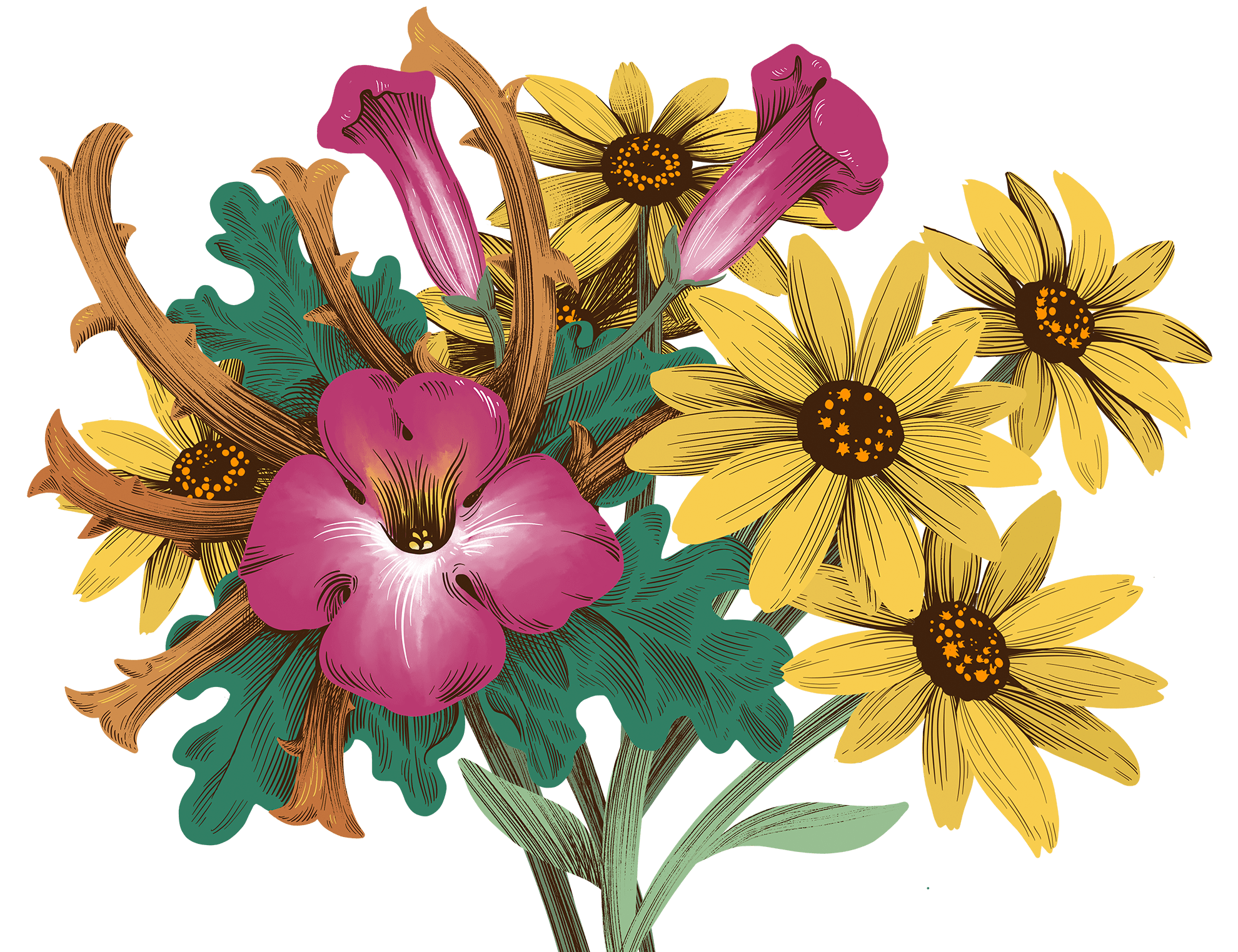 arnica-artiglio-viola-Copy-min.png__PID:03524421-656f-4228-a5b9-7dff254c13fd
